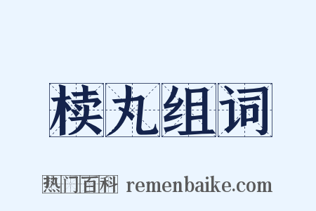 椟丸组词是什么意思的图片